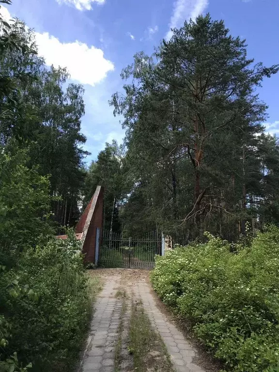 Участок в Нижегородская область, Семеновский муниципальный округ  (6.0 ... - Фото 1