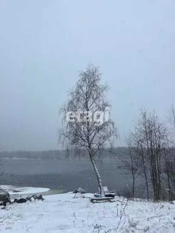 Участок в Ленинградская область, Приозерский район, Ромашкинское ... - Фото 0