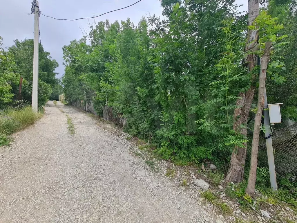 Участок 6,6 сот. (СНТ, ДНП) - Фото 1