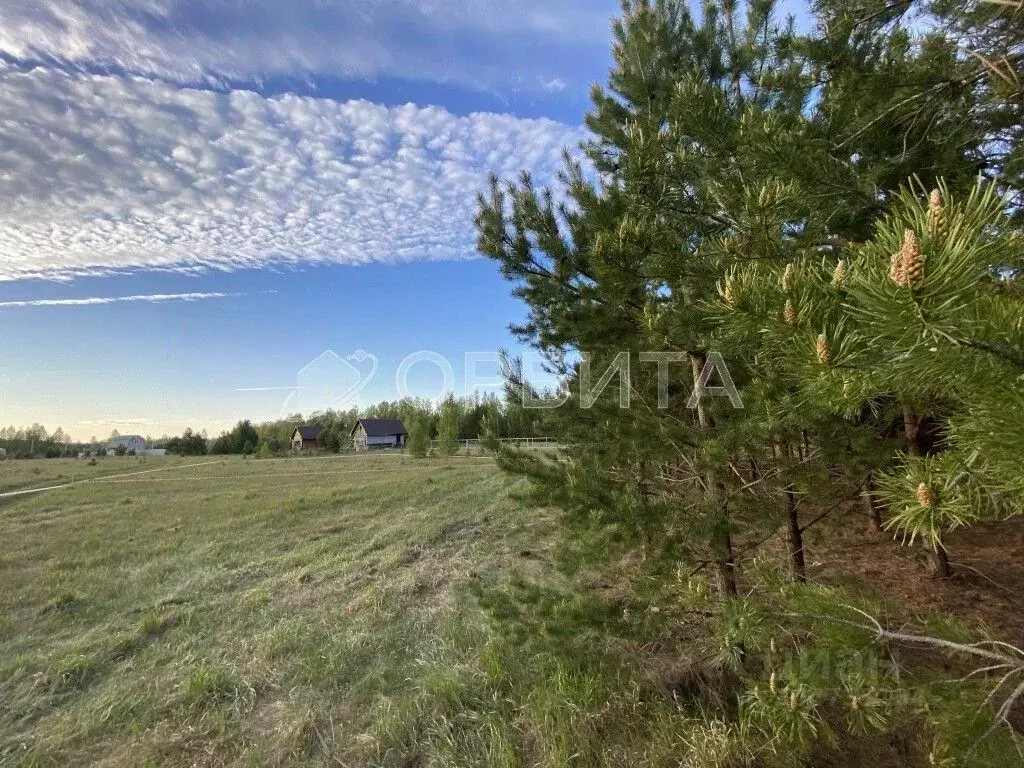 Участок в Тюменская область, Тюменский район, д. Головина  (10.0 сот.) - Фото 1