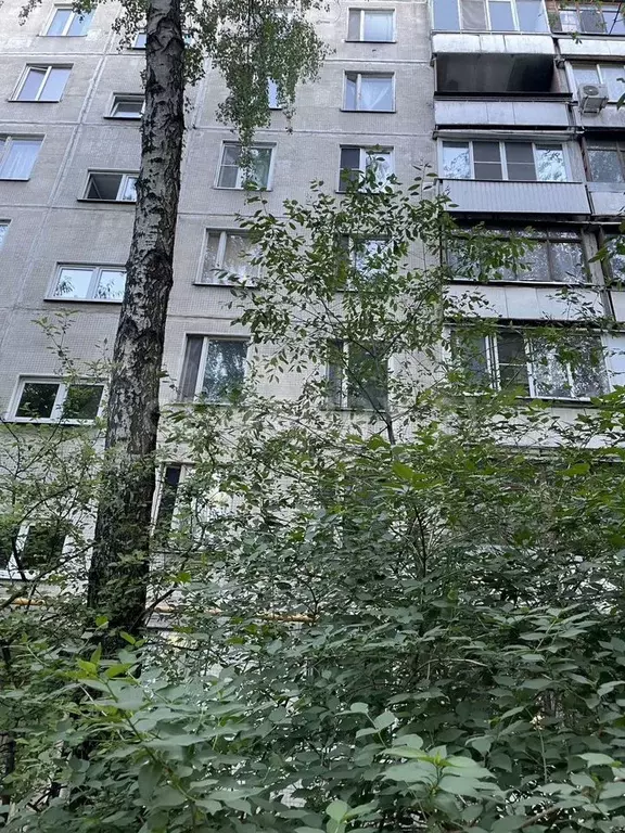 3-к. квартира, 49 м, 5/9 эт. - Фото 0