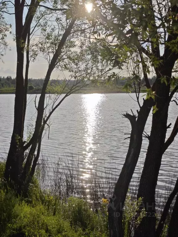 Участок в Московская область, Красногорск городской округ, д. ... - Фото 0