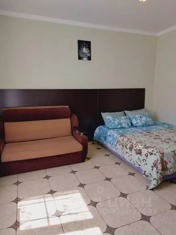 1-к кв. Краснодарский край, Сочи ул. Просвещения, 85Б (30.0 м) - Фото 1