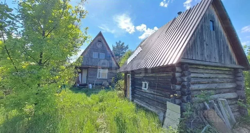 Дом в Кировская область, Юрьянский муниципальный округ, Пагинка-9 СДТ ... - Фото 1
