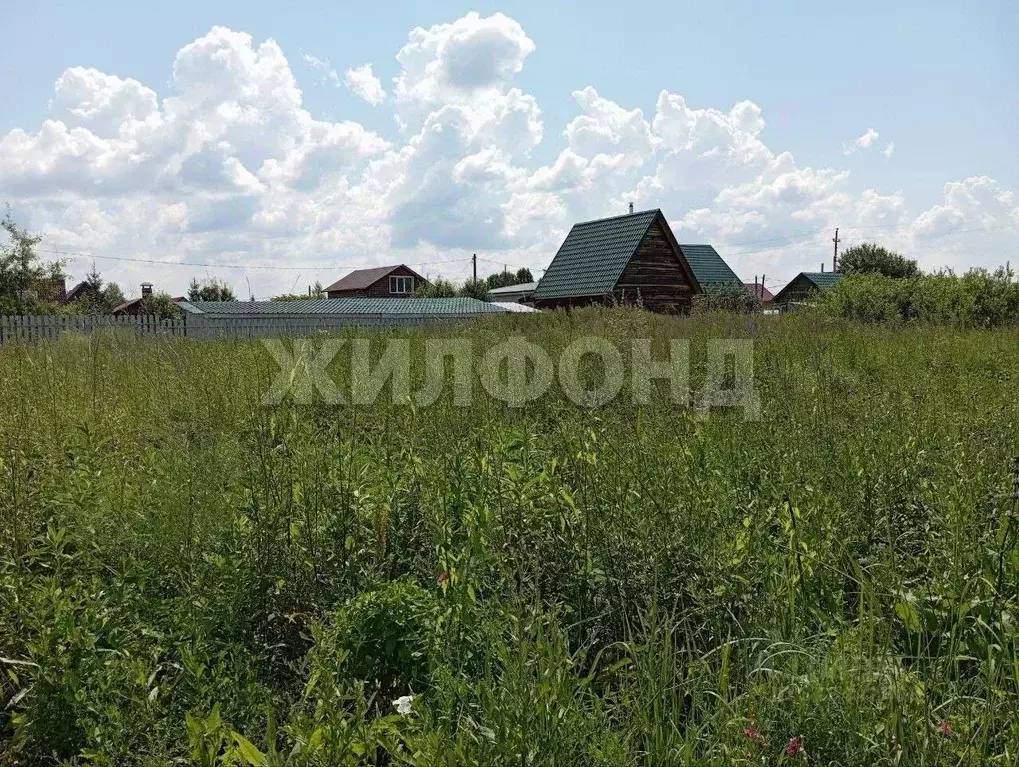 Участок в Новосибирская область, Колыванский район, Приобье СНТ  (11.8 ... - Фото 1