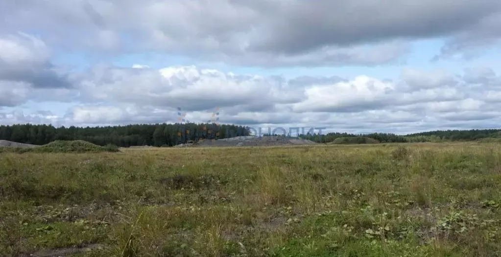 Участок в Нижегородская область, Нижний Новгород с. Безводное, ул. ... - Фото 1