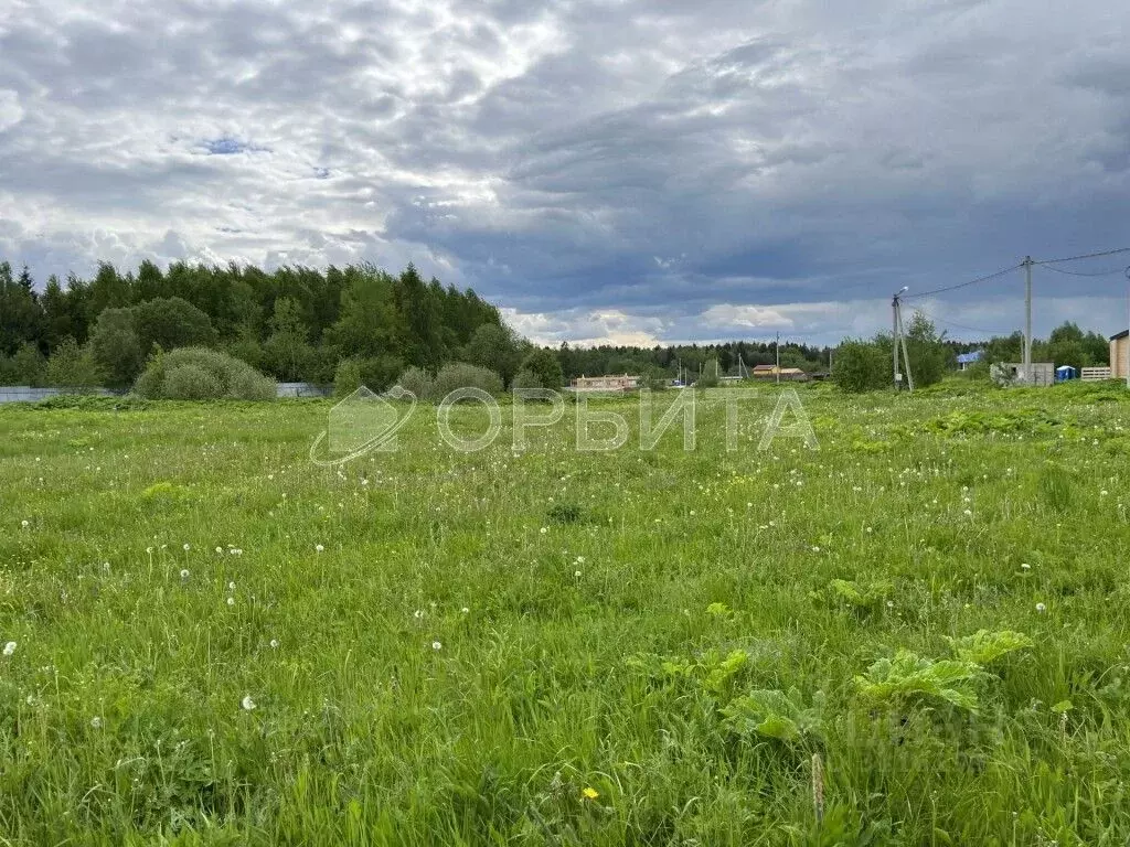 Участок в Тюменская область, Тюменский район, д. Падерина Луговая ул. ... - Фото 1