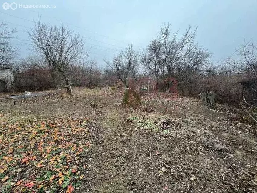 Участок в Краснослободск, садовое товарищество Опытник-3, Набережная ... - Фото 1