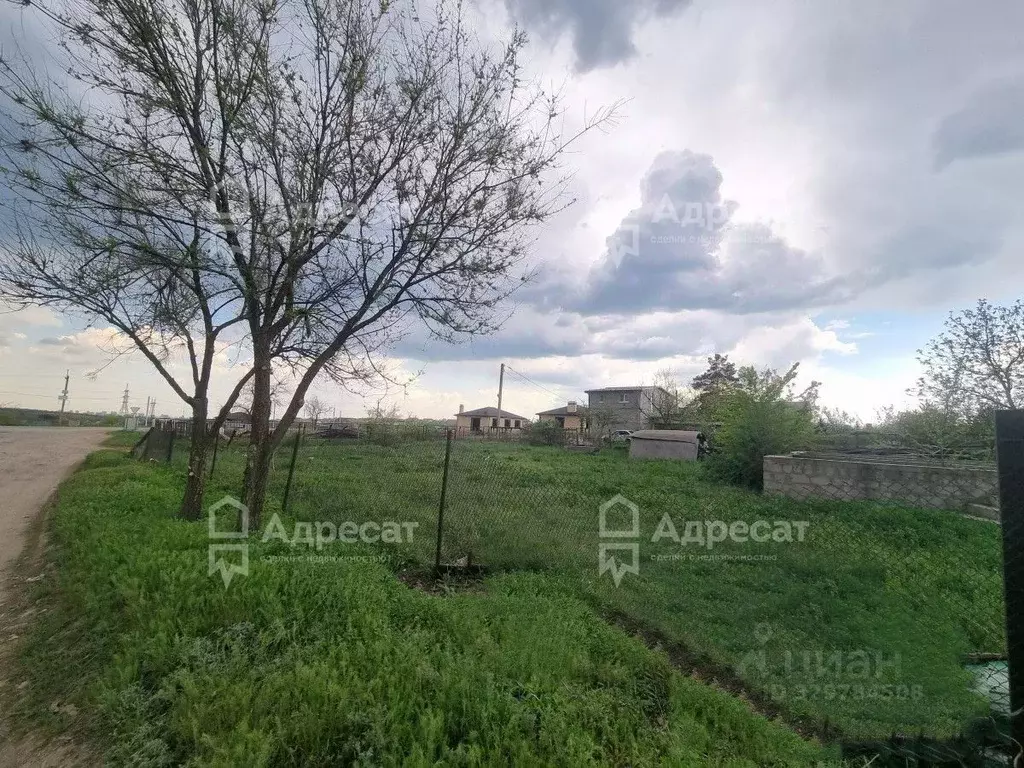 Участок в Волгоградская область, Городищенский район, Царицынское ... - Фото 1