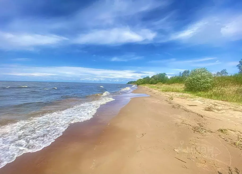 Участок в Псковская область, Гдов городское поселение  (100.0 сот.) - Фото 1