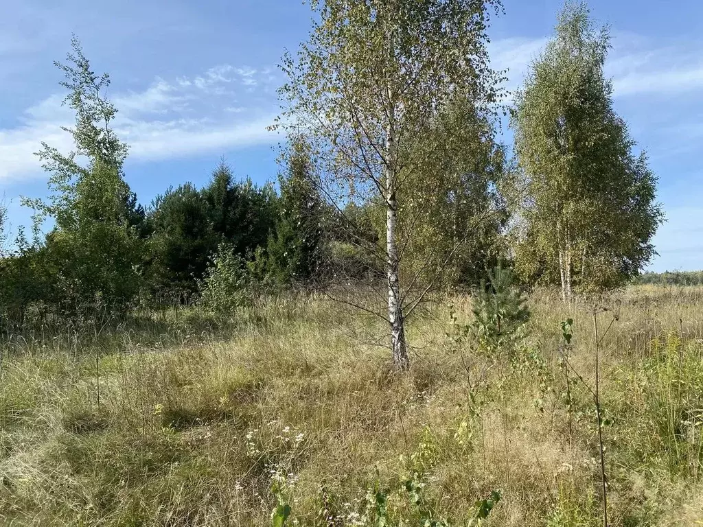 Участок в Московская область, Рузский муниципальный округ, д. ... - Фото 1
