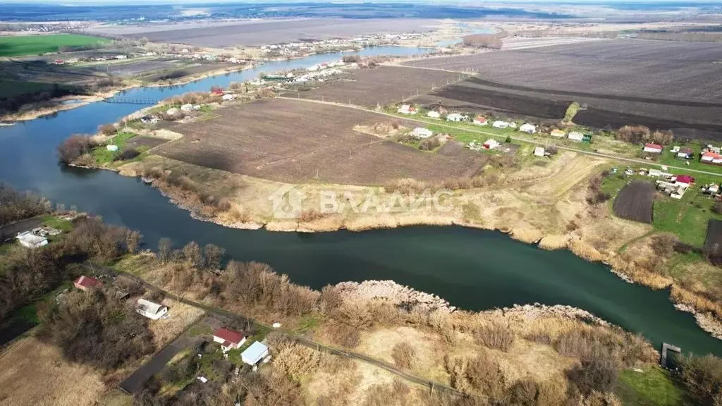 Участок в Воронежская область, Новоусманский район, Нижнекатуховское ... - Фото 1