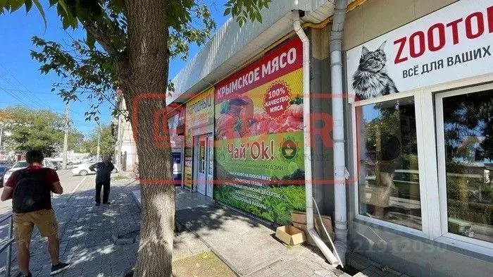 Торговая площадь в Севастополь ул. Николая Островского, 71 (60 м) - Фото 1