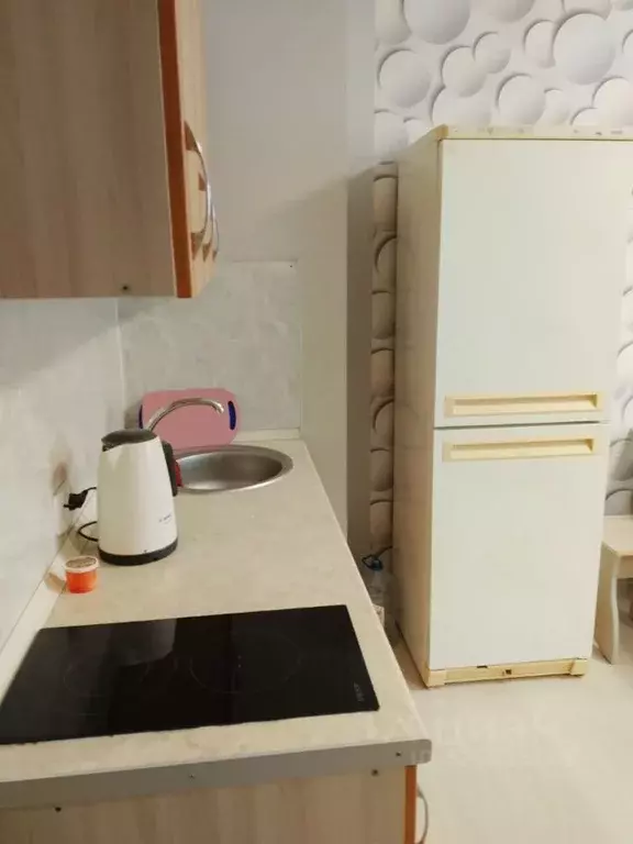 Студия Башкортостан, Уфимский район, с. Михайловка Новоуфимская ул., ... - Фото 2