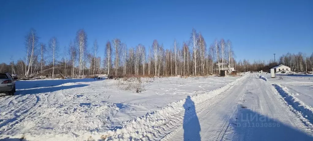 Участок в Новосибирская область, Новосибирский район, Станционный ... - Фото 1