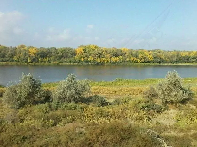 Участок в Астраханская область, Камызякский район, с. Затон ул. ... - Фото 0