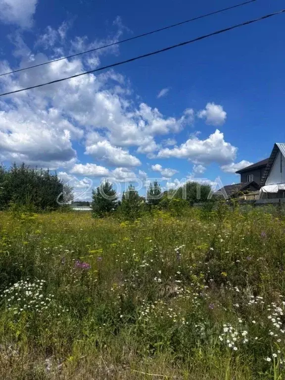 Участок в Тюменская область, Тюменский район, Нива СНТ ул. Урожайная, ... - Фото 1