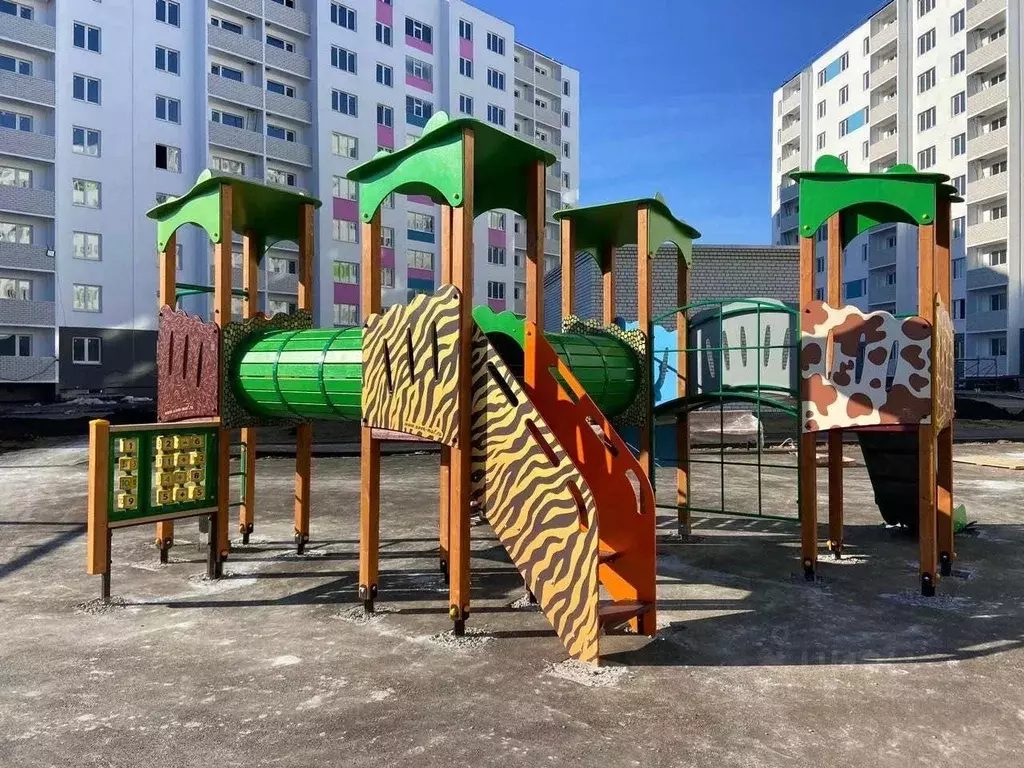 1-к кв. Саратовская область, Саратов ул. Имени Евгения Долгина, 4 ... - Фото 1