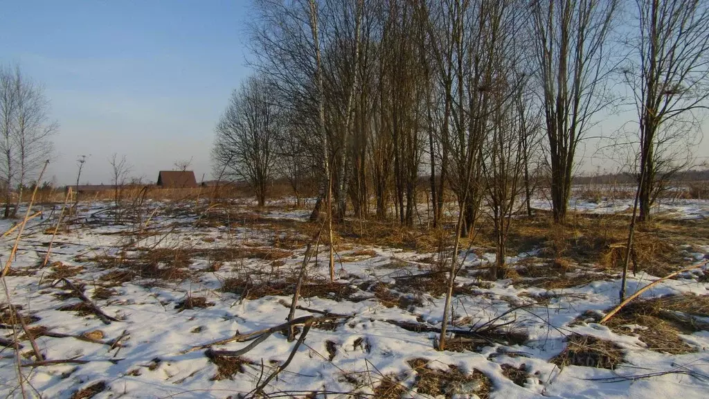 Участок в Московская область, Рузский муниципальный округ, д. Ватулино ... - Фото 2