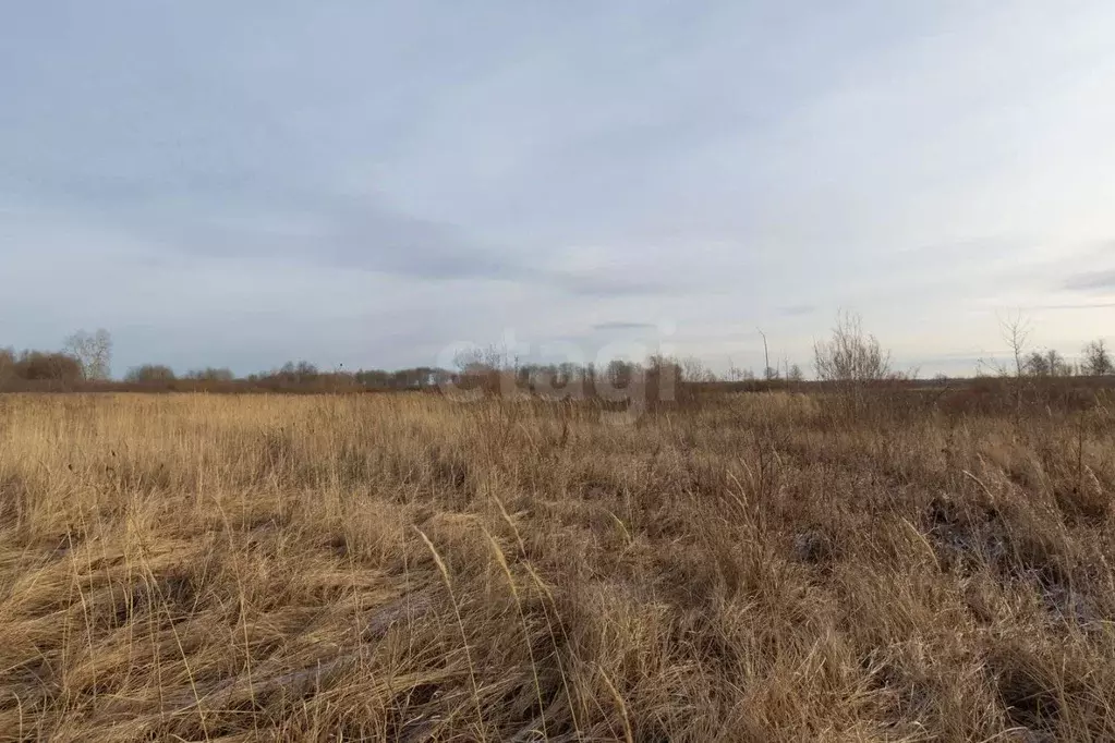 Участок в Тюменская область, Тюменский муниципальный округ, д. ... - Фото 1