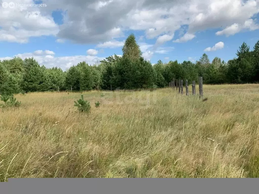 Участок в Курганская область, Кетовский муниципальный округ, деревня ... - Фото 0