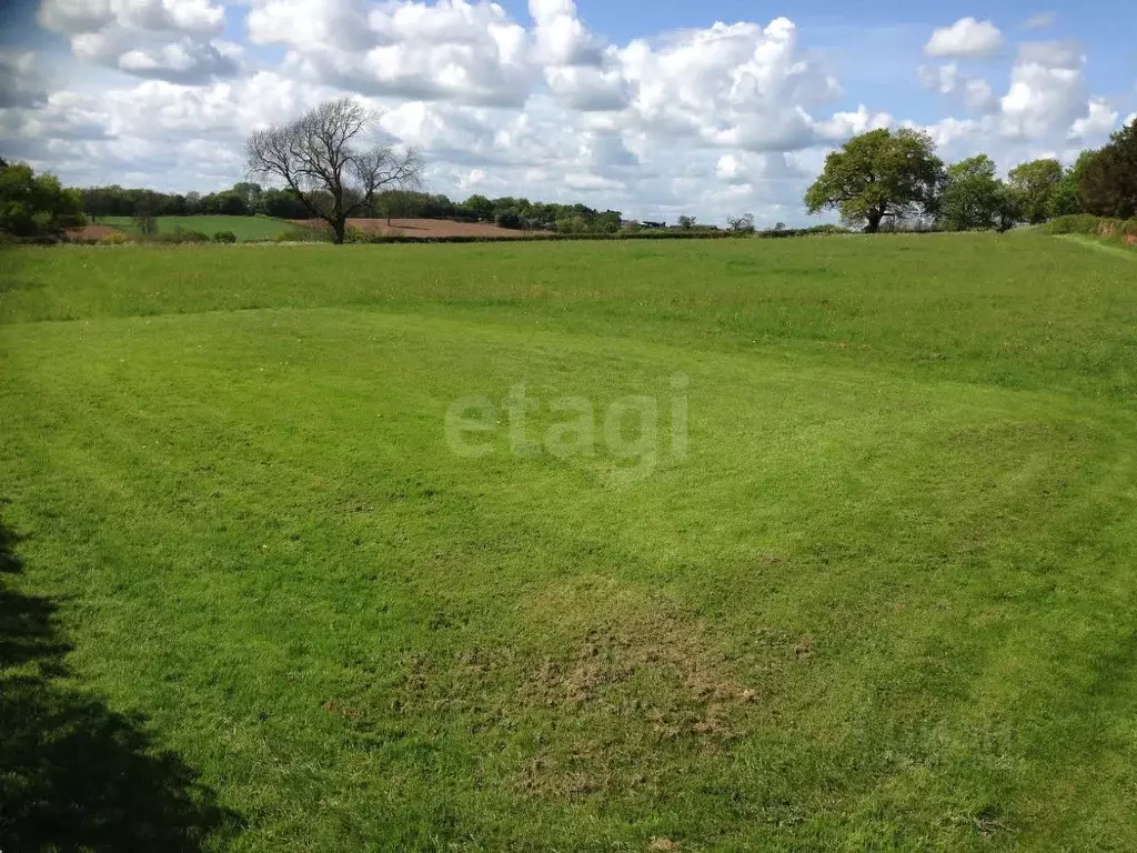 Участок в Брянская область, Суражский район, Лопазненское с/пос, с. ... - Фото 2