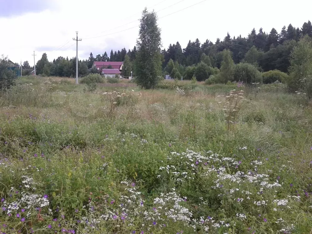 Купить Участок В Можайске Московской Области