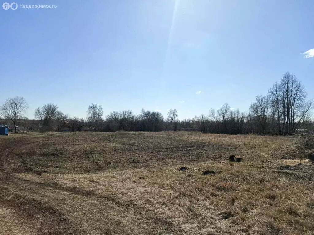 Участок в село Кондрашовка, Тенистая улица (40 м) - Фото 2