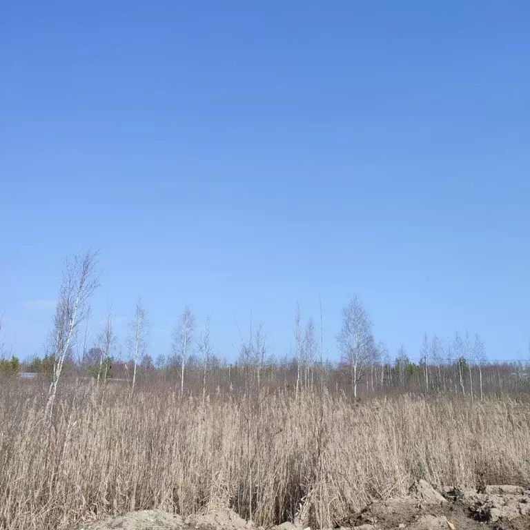 Участок в Московская область, Электрогорск Павлово-Посадский городской ... - Фото 0