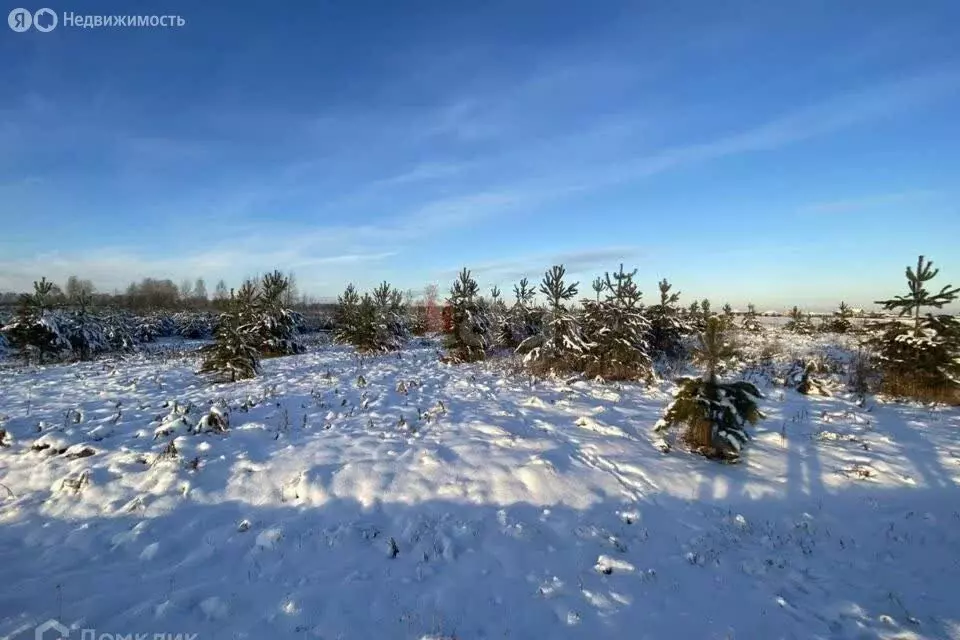 Участок в Тюменский район, деревня Есаулова, улица Кирова (16.73 м) - Фото 0