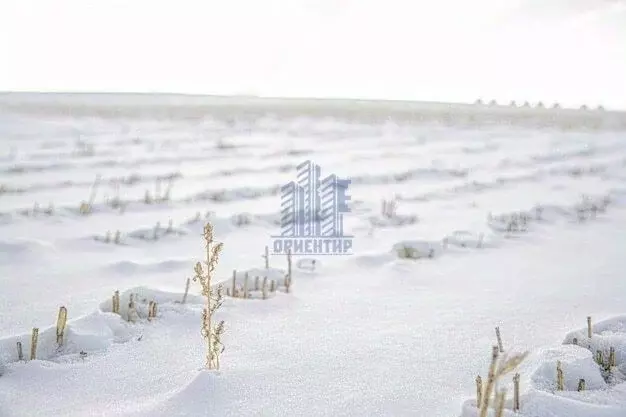 Участок в Чувашия, Моргаушский муниципальный округ, Большесундырское ... - Фото 2