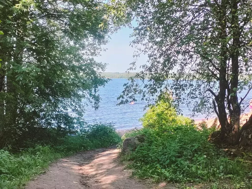 Участок в Ленинградская область, Выборгский район, Красносельское ... - Фото 0