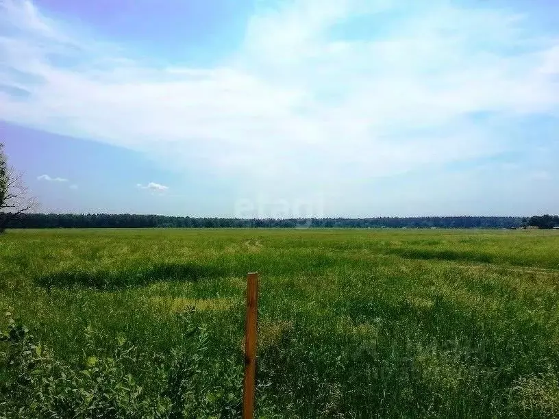 Участок в Липецкая область, Липецкий муниципальный округ, с. Частая ... - Фото 1