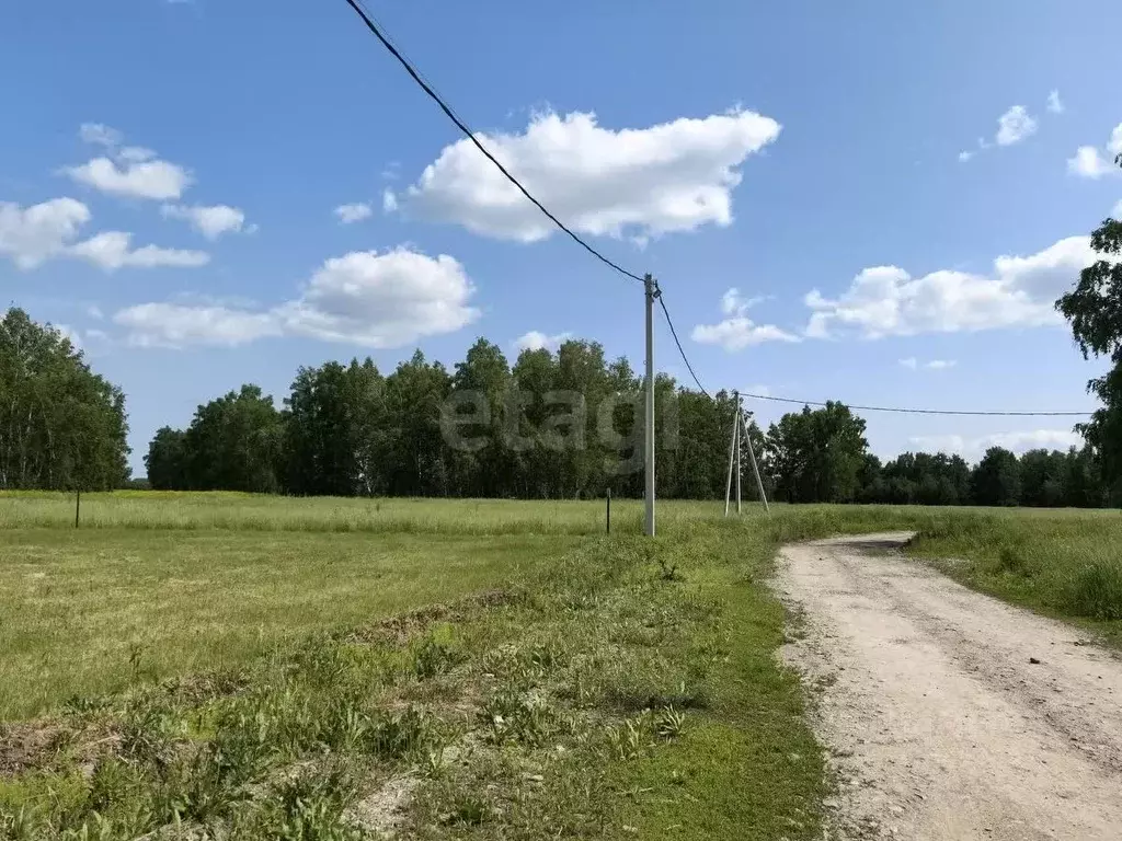 Участок в Новосибирская область, Новосибирский район, Морской ... - Фото 2