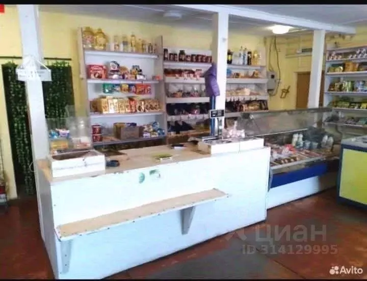 Торговая площадь в Омская область, Тюкалинский район, с. Коршуновка ... - Фото 0