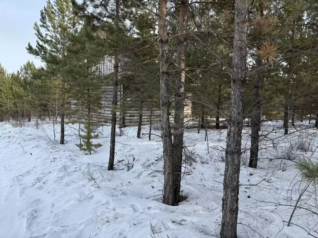 Участок в Бурятия, Улан-Удэ ул. Плодородная, 36 (10.0 сот.) - Фото 2