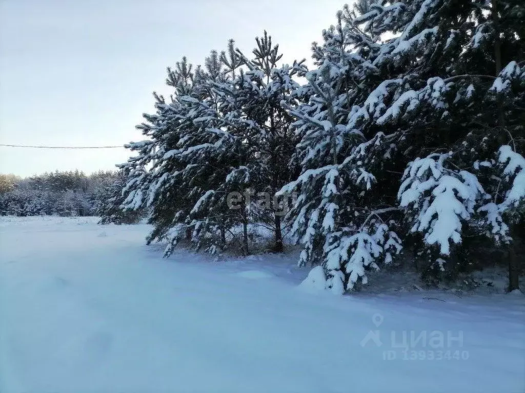 Участок в Тюменская область, Нижнетавдинский район, с. Тюнево (15.75 .,  Купить земельный участок Тюнево, Нижнетавдинский район, ID объекта -  20006412159