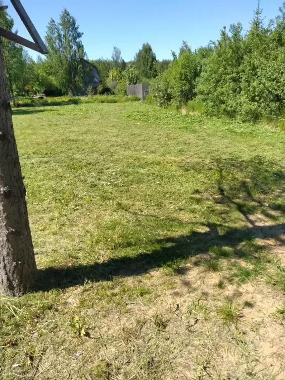 Участок в Тверская область, Конаковский муниципальный округ, Радуга ... - Фото 1