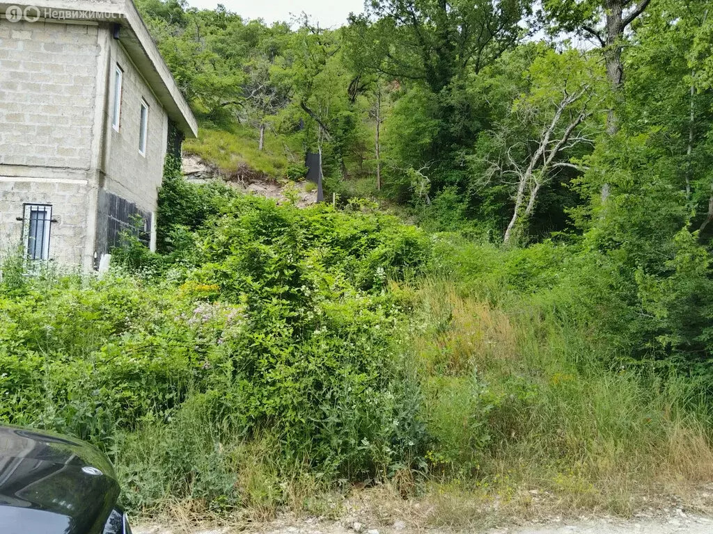 Участок в Краснодарский край, городской округ Новороссийск, село ... - Фото 2