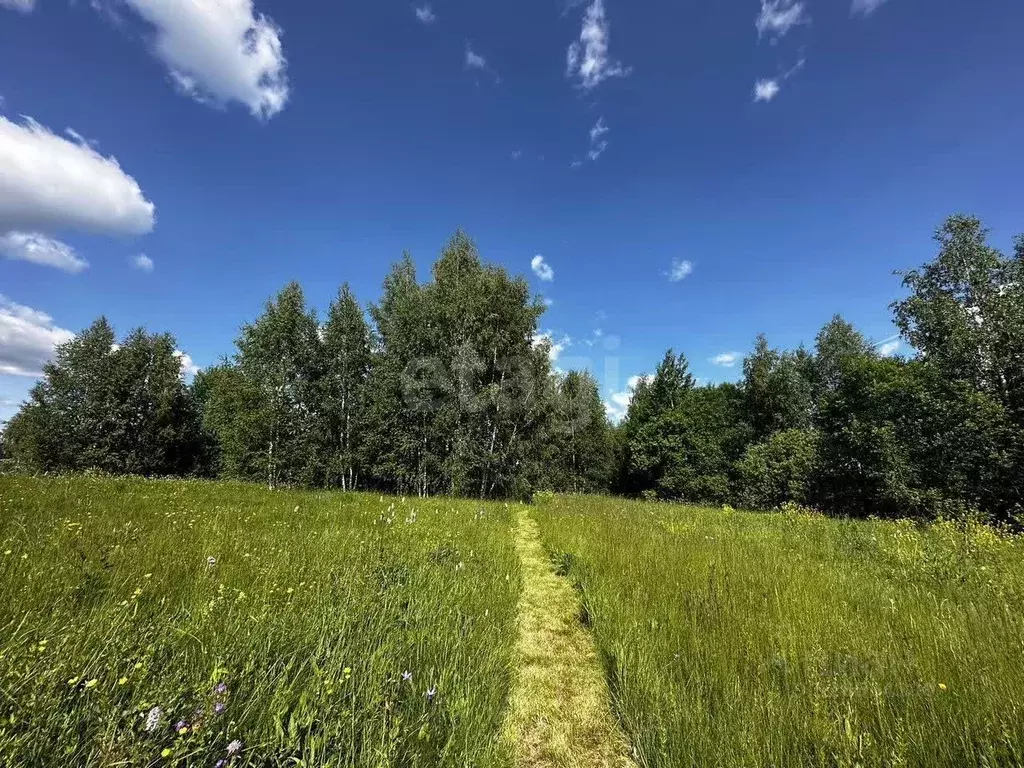 Участок в Ярославская область, Тутаевский муниципальный округ, д. ... - Фото 1