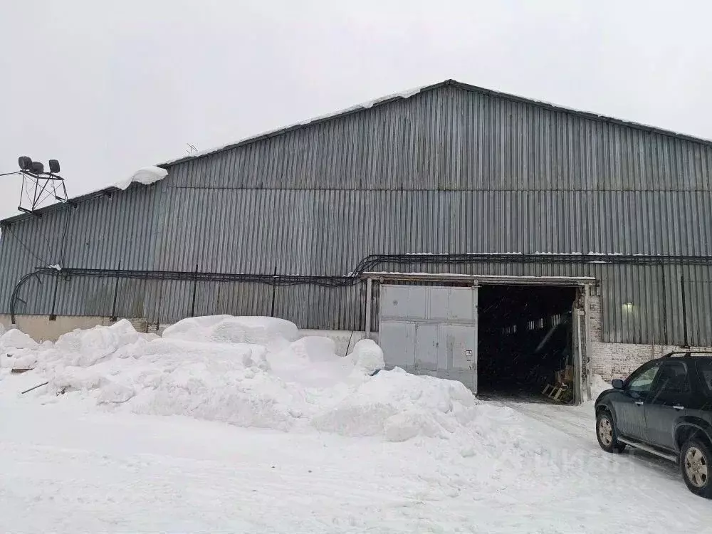 Склад в Новосибирская область, Новосибирск ул. Мира, 62/11 (1806 м) - Фото 1