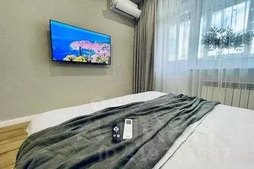 1-к кв. Пензенская область, Пенза Окружная ул., 16 (50.0 м) - Фото 0