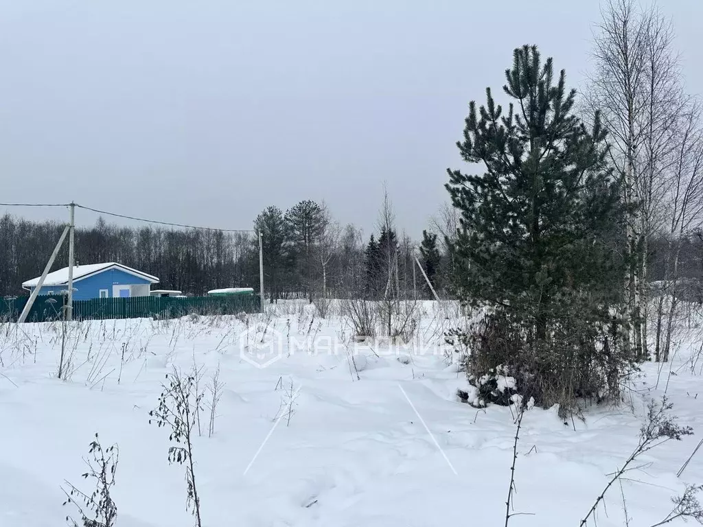 Участок в Ленинградская область, Тосненский район, Форносовское ... - Фото 1