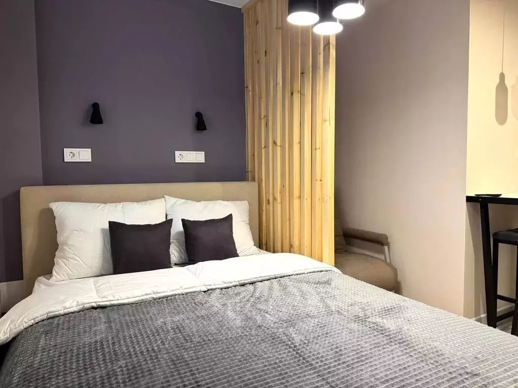 Студия Санкт-Петербург Свечной пер., 5 (18.0 м) - Фото 0