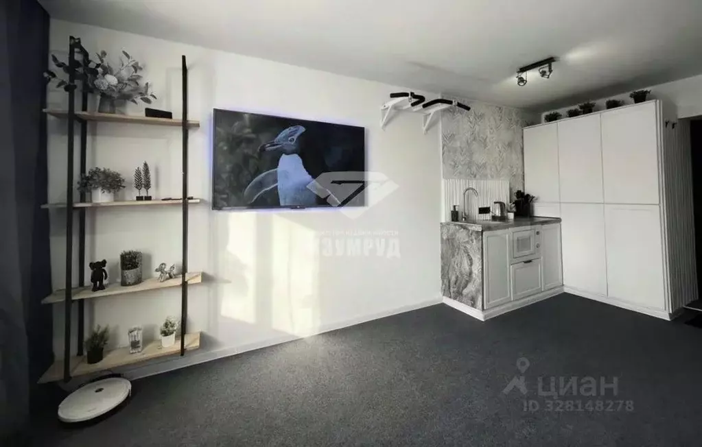 Студия Кемеровская область, Кемерово Мирная ул., 8 (18.3 м) - Фото 1