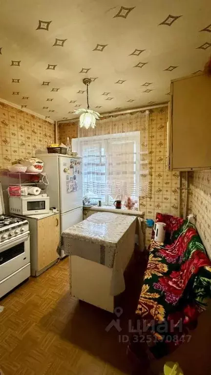 1-к кв. Курская область, Курск ул. Ленина, 8 (31.2 м) - Фото 1