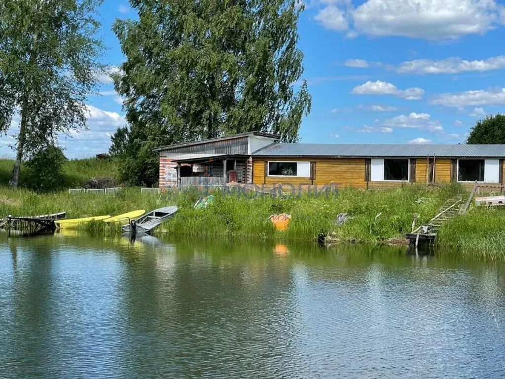 Участок в Нижегородская область, Богородский район, д. Чижково  ... - Фото 1