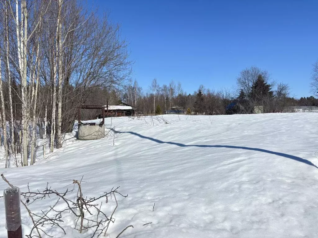 Участок в Марий Эл, Медведевский район, Знаменское с/пос, Семья СНТ, ... - Фото 2