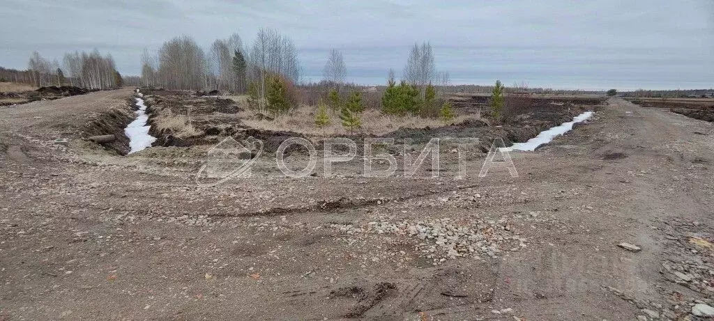Участок в Тюменская область, Тюмень Большое Царево-1 СНТ,  (10.0 сот.) - Фото 0