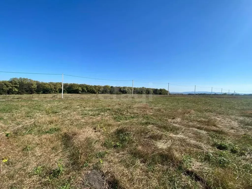 Участок в Краснодарский край, Новороссийск пос. Прохоровка, ул. ... - Фото 2